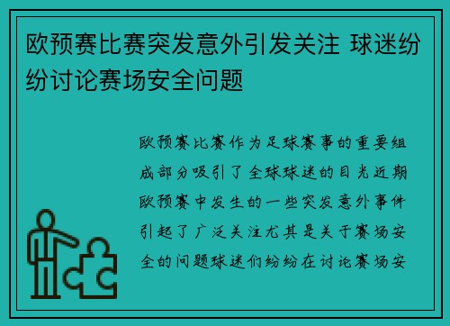 欧预赛比赛突发意外引发关注 球迷纷纷讨论赛场安全问题