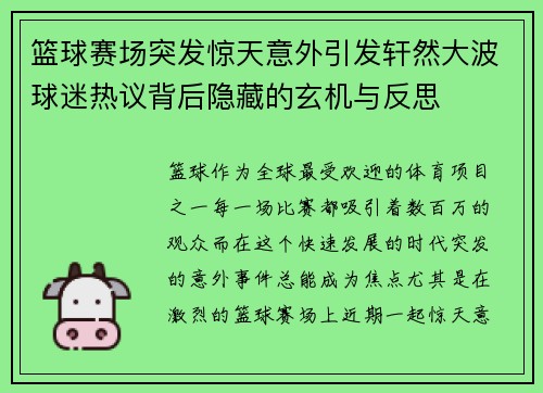 篮球赛场突发惊天意外引发轩然大波球迷热议背后隐藏的玄机与反思